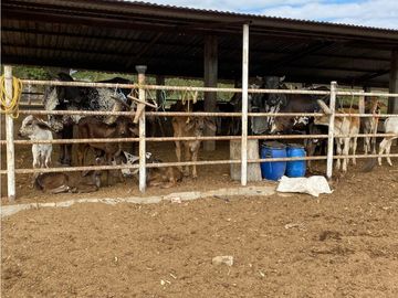 HERMOSO RANCHO EN LOS GAVILANES