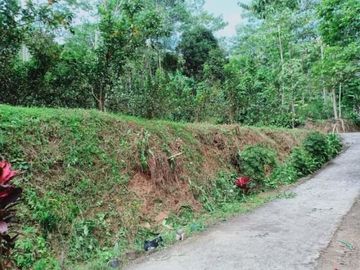 Tanah ngargoyoso 500m 130jt kebun jambu