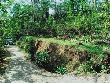 Tanah ngargoyoso 500m 130jt kebun jambu
