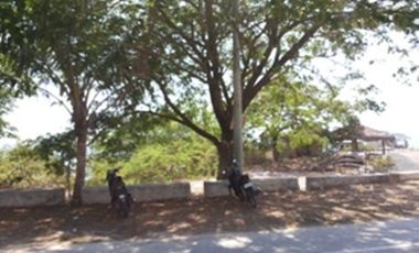 1000 sqm Beach Front Property in Bacnotan, La Union (SOLD)