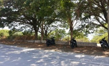 1000 sqm Beach Front Property in Bacnotan, La Union (SOLD)