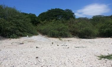 1000 sqm Beach Front Property in Bacnotan, La Union (SOLD)
