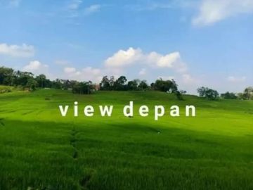 Tanah karangpandan 1360m 350jt