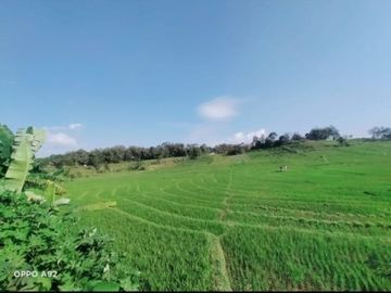 Tanah karangpandan 1360m 350jt