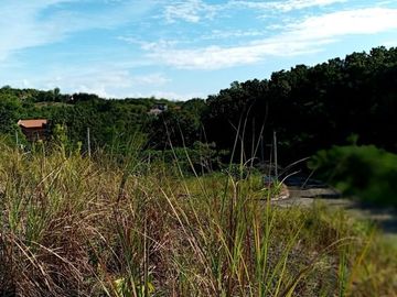 190 SQM CORNER Lot for Sale in Upper Casili Greenville Heights Consolacion Cebu