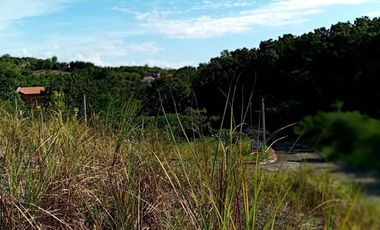 190 SQM CORNER Lot for Sale in Upper Casili Greenville Heights Consolacion Cebu