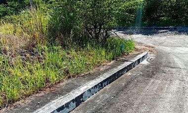 190 SQM CORNER Lot for Sale in Upper Casili Greenville Heights Consolacion Cebu