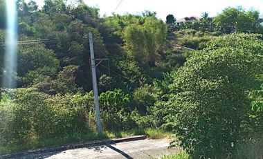 190 SQM CORNER Lot for Sale in Upper Casili Greenville Heights Consolacion Cebu