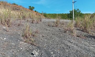 190 SQM CORNER Lot for Sale in Upper Casili Greenville Heights Consolacion Cebu