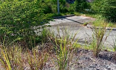 190 SQM CORNER Lot for Sale in Upper Casili Greenville Heights Consolacion Cebu