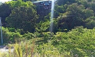190 SQM CORNER Lot for Sale in Upper Casili Greenville Heights Consolacion Cebu