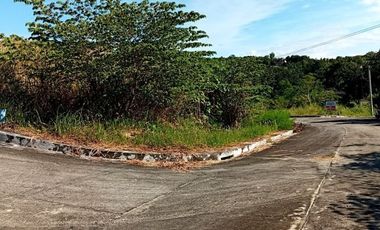 190 SQM CORNER Lot for Sale in Upper Casili Greenville Heights Consolacion Cebu