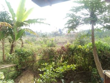 Jual Cepat Tanah Peternakan Sapi 15 Ha Di Cipanas Cianjur