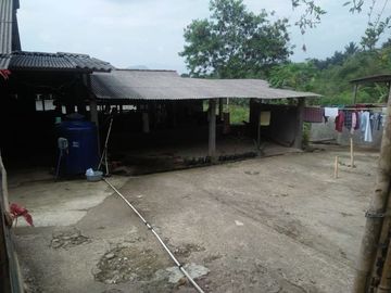Jual Cepat Tanah Peternakan Sapi 15 Ha Di Cipanas Cianjur