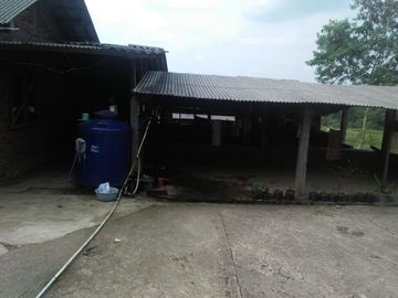 Jual Cepat Tanah Peternakan Sapi 15 Ha Di Cipanas Cianjur