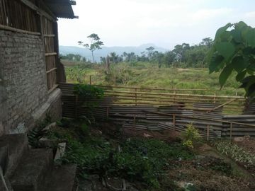 Jual Cepat Tanah Peternakan Sapi 15 Ha Di Cipanas Cianjur