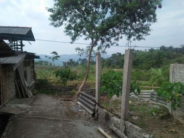 Jual Cepat Tanah Peternakan Sapi 15 Ha Di Cipanas Cianjur