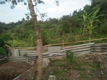 Jual Cepat Tanah Peternakan Sapi 15 Ha Di Cipanas Cianjur