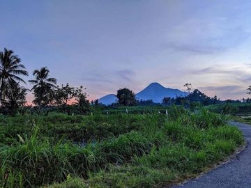 Dijual Tanah Pekarangan Luas di Pakem: View Merapi