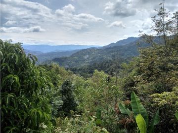 VENTA DE LOTE  EN SAN ANTONIO DE TEQUENDAMA