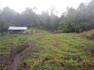 VENTA DE LOTE  EN SAN ANTONIO DE TEQUENDAMA