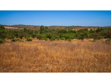 Paño Inmobiliario en Villa Alemana