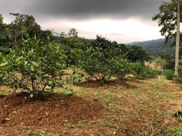 Lahan Produktif Harga Murah Kavling Pesona Bukit Madani