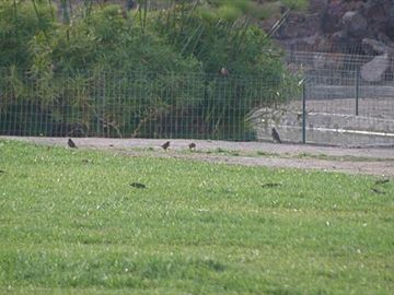 Parcela en Venta en  VALLE LOS NARANJOS