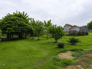 Dijual Kavling Siap Bangun Cocok Untuk Cluster Lokasi Di CISAUK