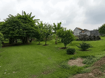 Dijual Kavling Siap Bangun Cocok Untuk Cluster Lokasi Di CISAUK