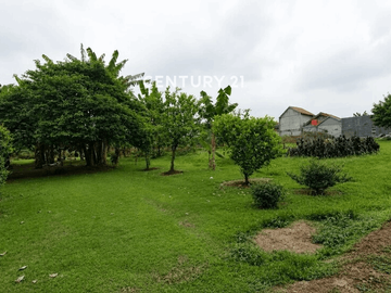 Dijual Kavling Siap Bangun Cocok Untuk Cluster Lokasi Di CISAUK
