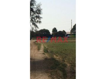 Se Vende Lindo Terreno En San Andres                                          Dos Hectareas                               Provincia De Pisco En Ica