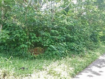 Tanah pekarangan luas dalam Area Wisata Kaliurang