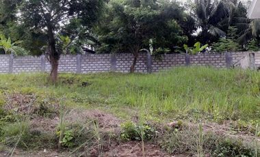 160 Sqm Elevated Lot for Sale near Talamban Cebu City in Greenwoods