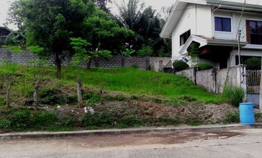 160 Sqm Elevated Lot for Sale near Talamban Cebu City in Greenwoods
