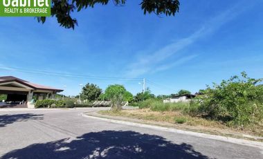 Subdivision Lots for Sale in Cebu - Ajoya Mactan