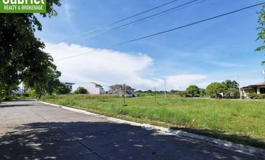 Subdivision Lots for Sale in Cebu - Ajoya Mactan