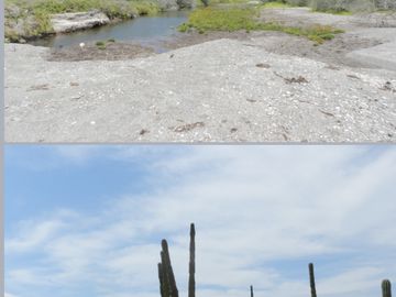 Propiedad a la orilla del Mar en la Bahía de Concepción de Loreto en BCS