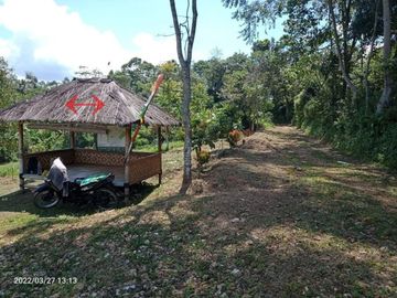 KAVLING KEBUN MANTAP UNTUK VILLA HARGA OKE