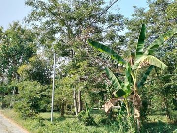 Kavling View Sawah, SHM Harga Promo