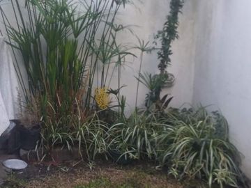 Se Vende Hermoso PH de 3 Ambientes al Frente en Carapachay