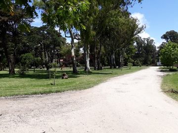 LATORRE PROP VENDE CASA DE 4 AMB EN B° LAS MARGARITAS