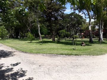 LATORRE PROP VENDE CASA DE 4 AMB EN B° LAS MARGARITAS