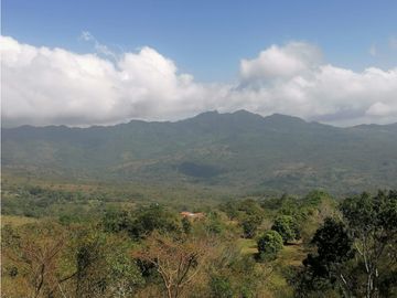 Se Vende Finca de 10 Has. en Sorá de Chame (H)