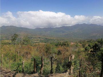 Se Vende Finca de 10 Has. en Sorá de Chame (H)