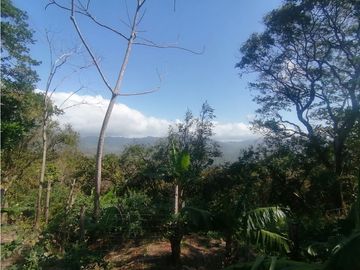 Se Vende Finca de 10 Has. en Sorá de Chame (H)