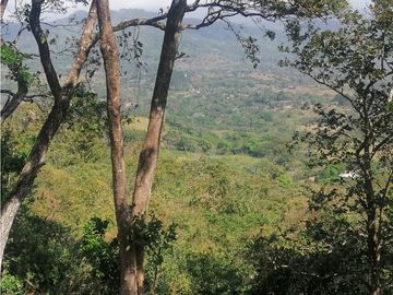 Se Vende Finca de 10 Has. en Sorá de Chame (H)