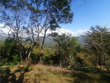 Se Vende Finca de 10 Has. en Sorá de Chame (H)