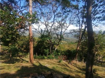 Se Vende Finca de 10 Has. en Sorá de Chame (H)