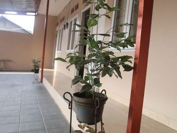 Dijual Rumah kost bersih kawasan Ciputat Tangerang Selatan